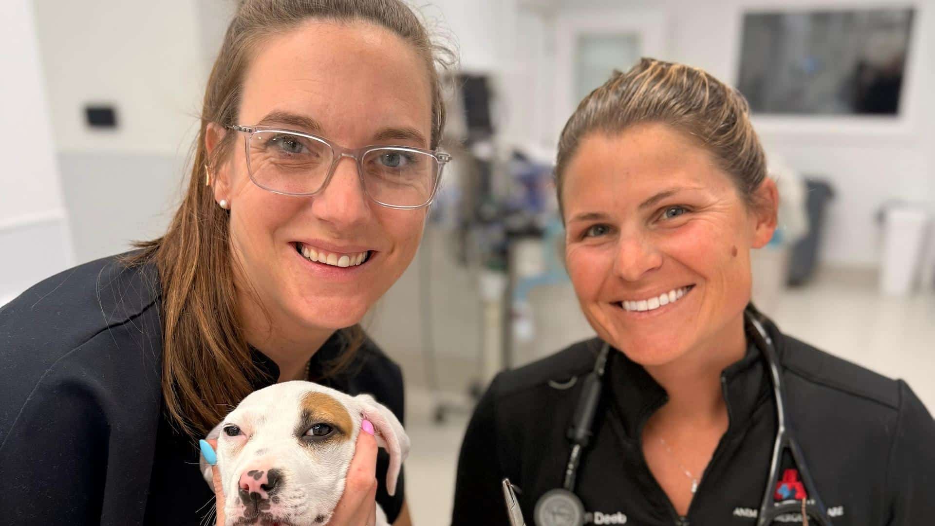 Animal Emergency Care ADA Policy