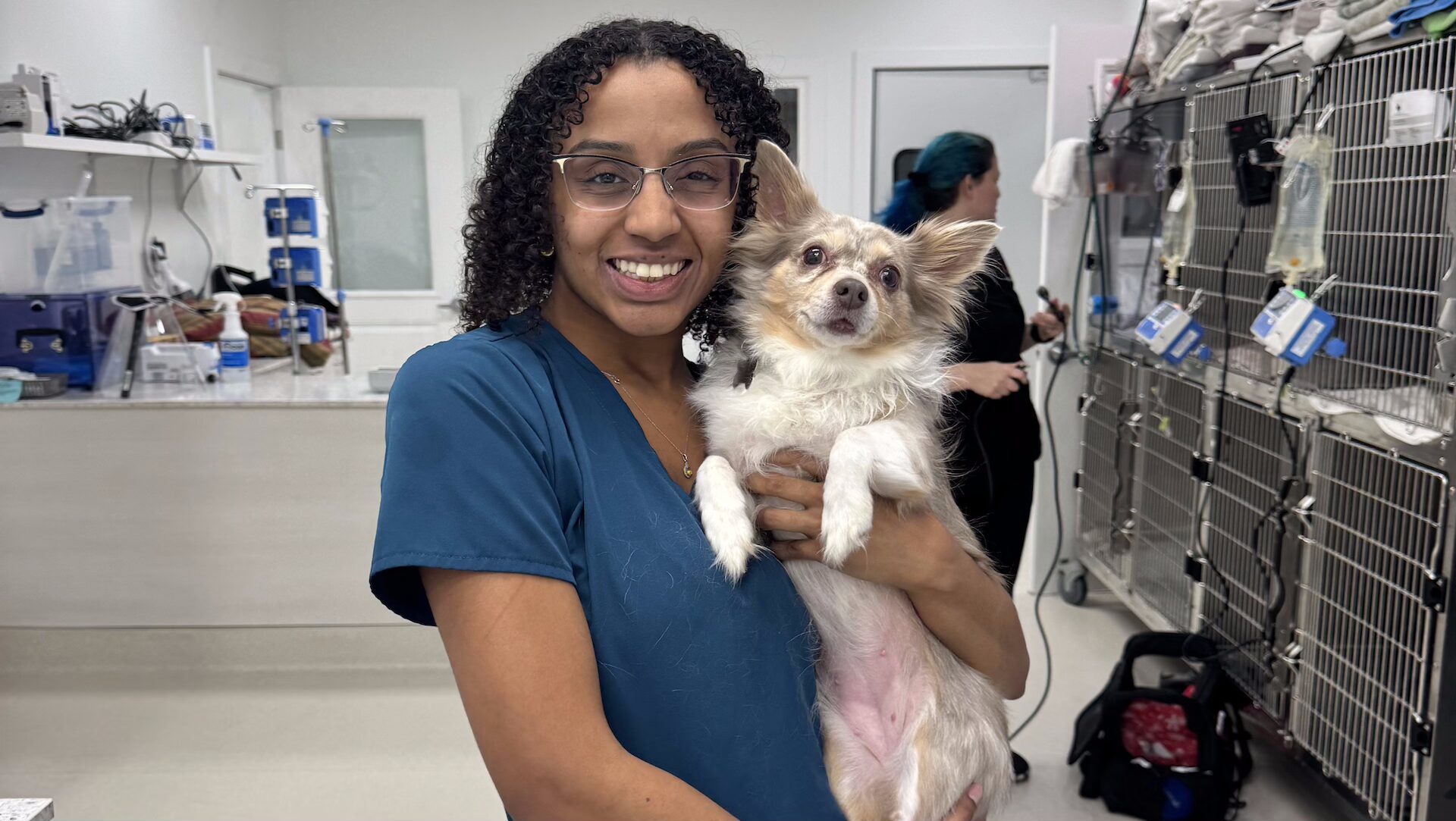 Animal Emergency Care Referrals