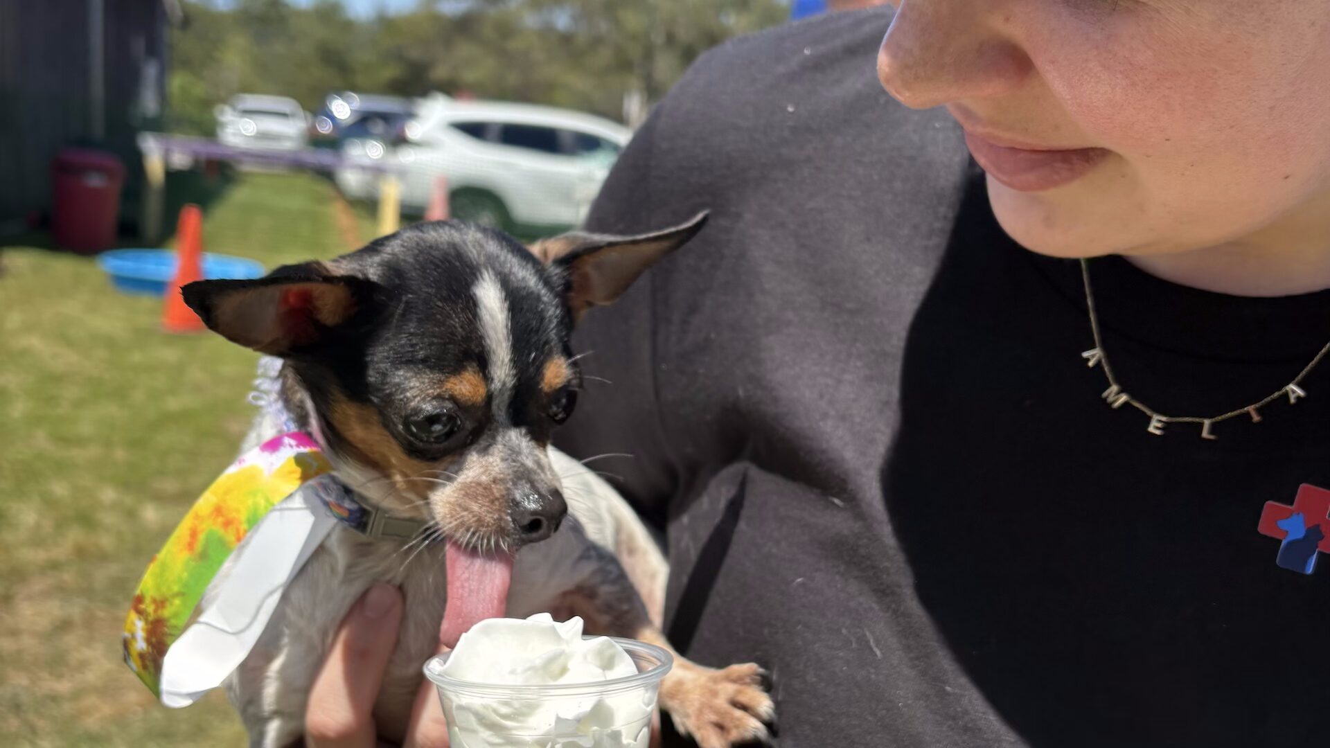 New Patient Form for Animal Emergency Care